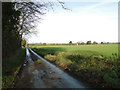 Shady Lane? No, Spring Lane, Yaxham