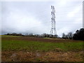 Field, wood and power line