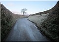 Lane to Menheniot