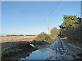 Unmade road near Dower House and stubble field