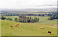 Strathmore: NW view to Grampians from Hill of Finavon, 1988