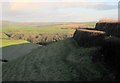 Valley above Lambest Wood