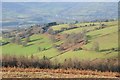 Farmland above the Usk valley