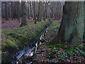 TQ0060 : Drain, Horsell Common by Alan Hunt