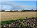 Stubble in a field at Evenwood Common