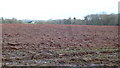 Red Herefordshire soil