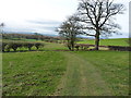 Bridleway west of Ballshill Cottage