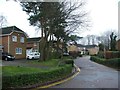 Catkin Close, Walderslade