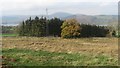 NY4723 : Mobile phone mast south of Roehead by Graham Robson