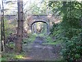 NJ0453 : A pair of bridges by Richard Webb