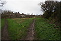 Trans Pennine Trail at Tongue  Gutter, Parson Cross