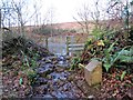 Ger / Near Cefn Bryn