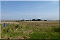 NU2212 : Farmland near Hawkhill by DS Pugh