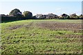 Field west of Kingston Lane