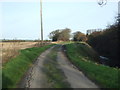 Minor road beside White Dike, Cattleholmes