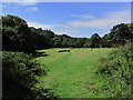 Footpath along valley S of Blisland