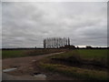 Field by Tithebarns Lane, Burntcommon