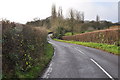 Taunton Deane : Country Road