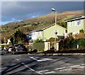 Metal-framed houses in  Ffynnonau, Crickhowell