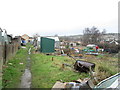 Allotments - Arncliffe Road