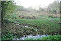 Marsh, Mill River, Bixley Heath