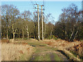 Electricity pylon, Yateley Common