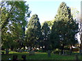 St Mary Magdalen, Ripley: churchyard (c)