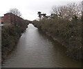 Upstream along the River Brue, Highbridge