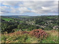 View W over Holmfirth from Wooldale Cliff