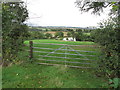 Pond below Wardenhill Farm, Chipping Warden