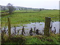 Flooded ground, Lislap West