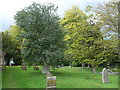 All Saints, Stanton St Bernard: churchyard (i)