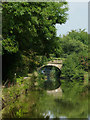 Macclesfield Canal south of Wood Lanes, Cheshire