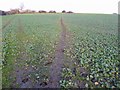 SE3804 : Muddy footpath to Ardsley by Steve  Fareham