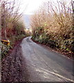 Narrow section of Llanbedr Road, Crickhowell