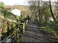 Mill leat and lane at Steps