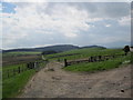 Track towards Hay Hill