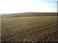 SU2372 : Farmland near Burney Farm by Vieve Forward
