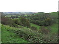 On North Downs Way - View towards Summerhouse Hill near Newington