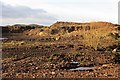 Borrow pit, Leithope Forest