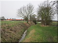 Dyke bank near Bransby