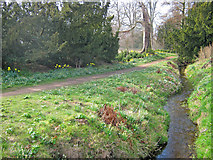 SK9339 : Streamside Path at Belton House Gardens by Trevor Rickard