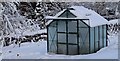 SK2698 : Greenhouse in the snow by Dave Pickersgill