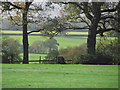 View WSW across meadowland from playing field at Little Berkhamsted