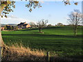 Autumn afternoon, - View to Brickhouse Farm from Smithy Lane, Hulme Walfield, near Congleton