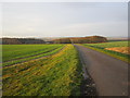 Roadway to Painslack Farm