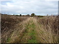 Towards Day House Farm