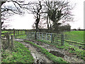 Cattle crush beside Limpenhoe Road