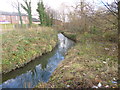 Chorlton Brook