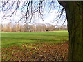 Chorlton Park, football pitch